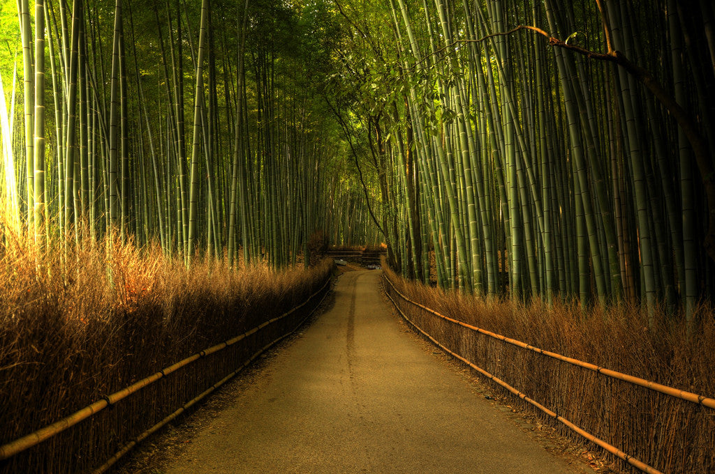 Why Woodies Uses Bamboo